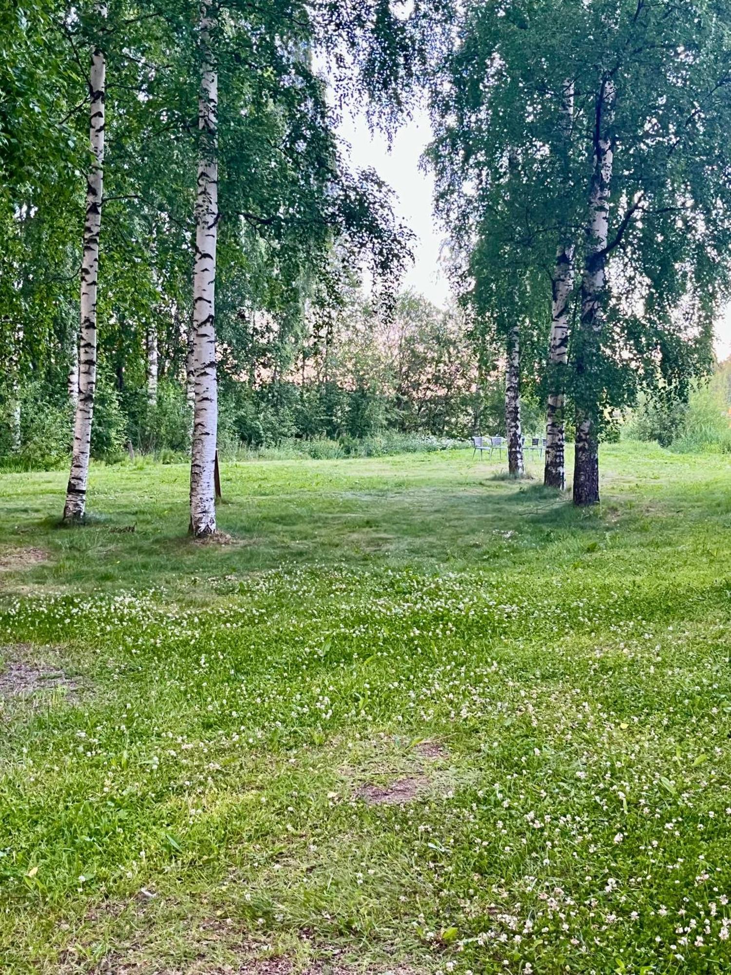 Asikkala Salonsaaren Lomakylae公寓 外观 照片